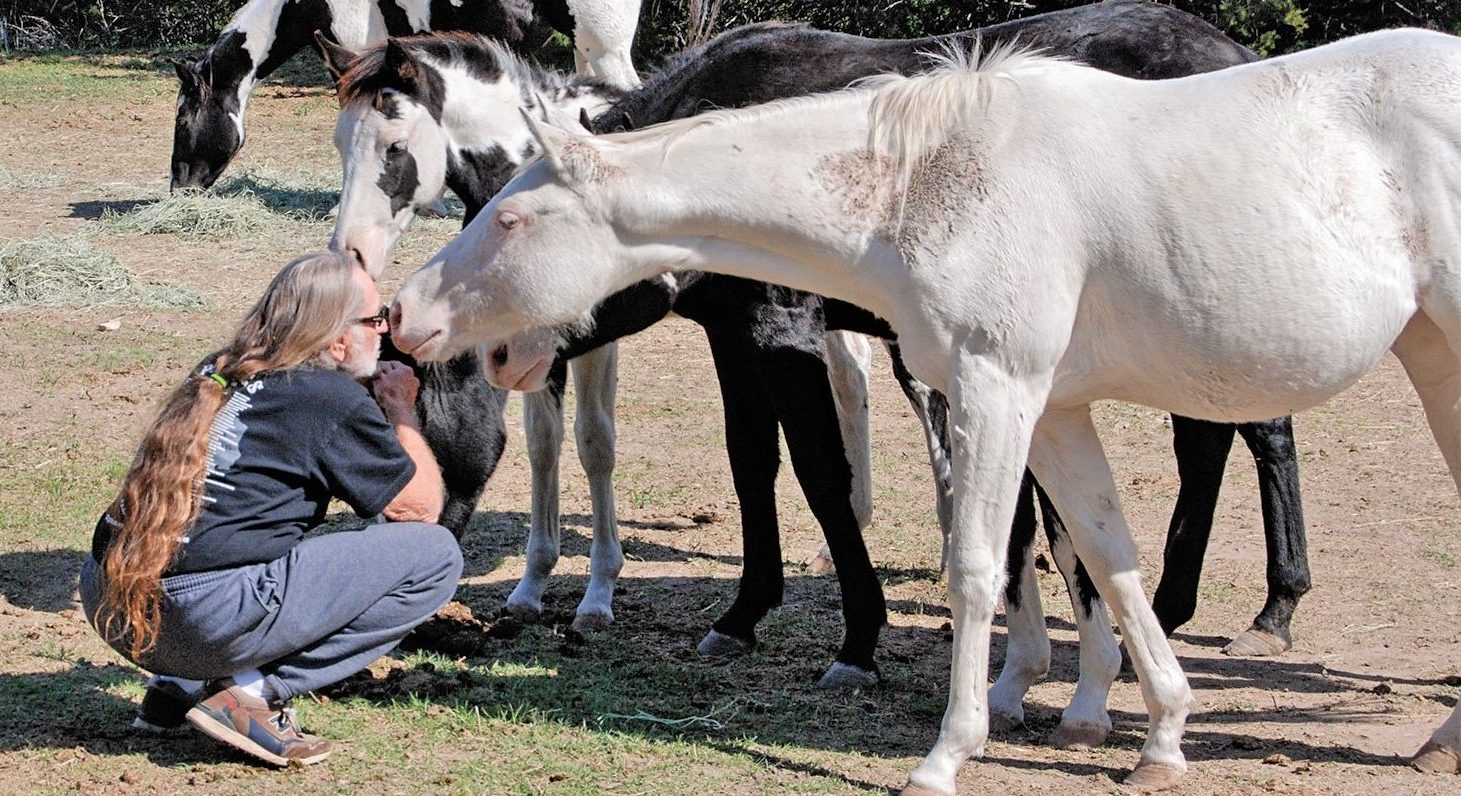 Willie Nelson Rescued 70 Horses From The Slaughterhouse